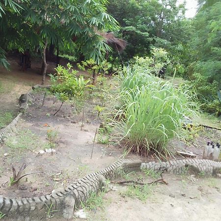 Little Baobab Bed & Breakfast Abeme Bagian luar foto