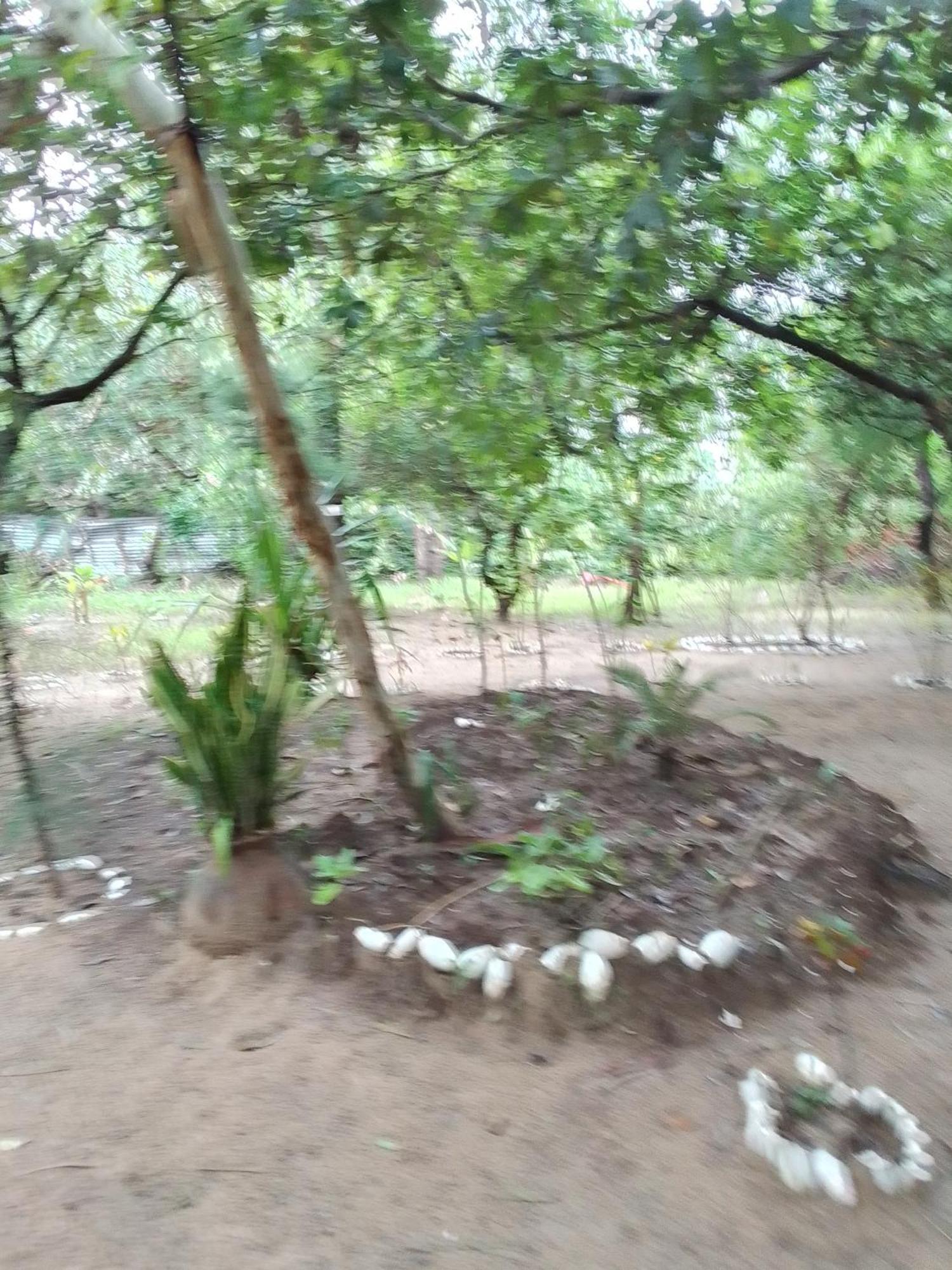Little Baobab Bed & Breakfast Abeme Bagian luar foto