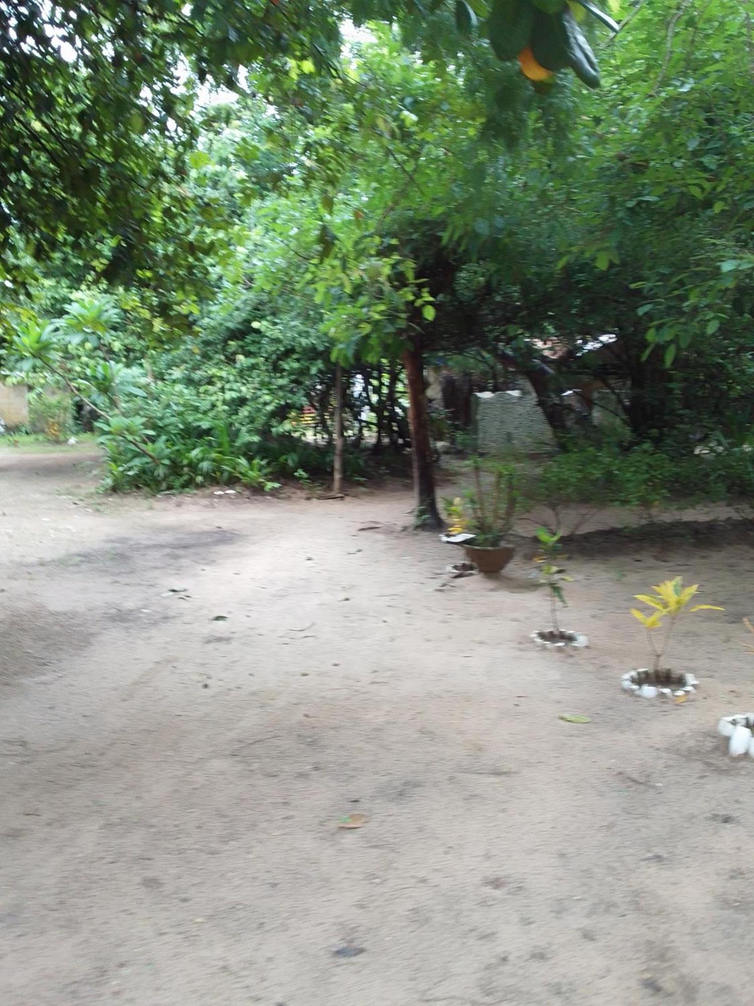 Little Baobab Bed & Breakfast Abeme Bagian luar foto