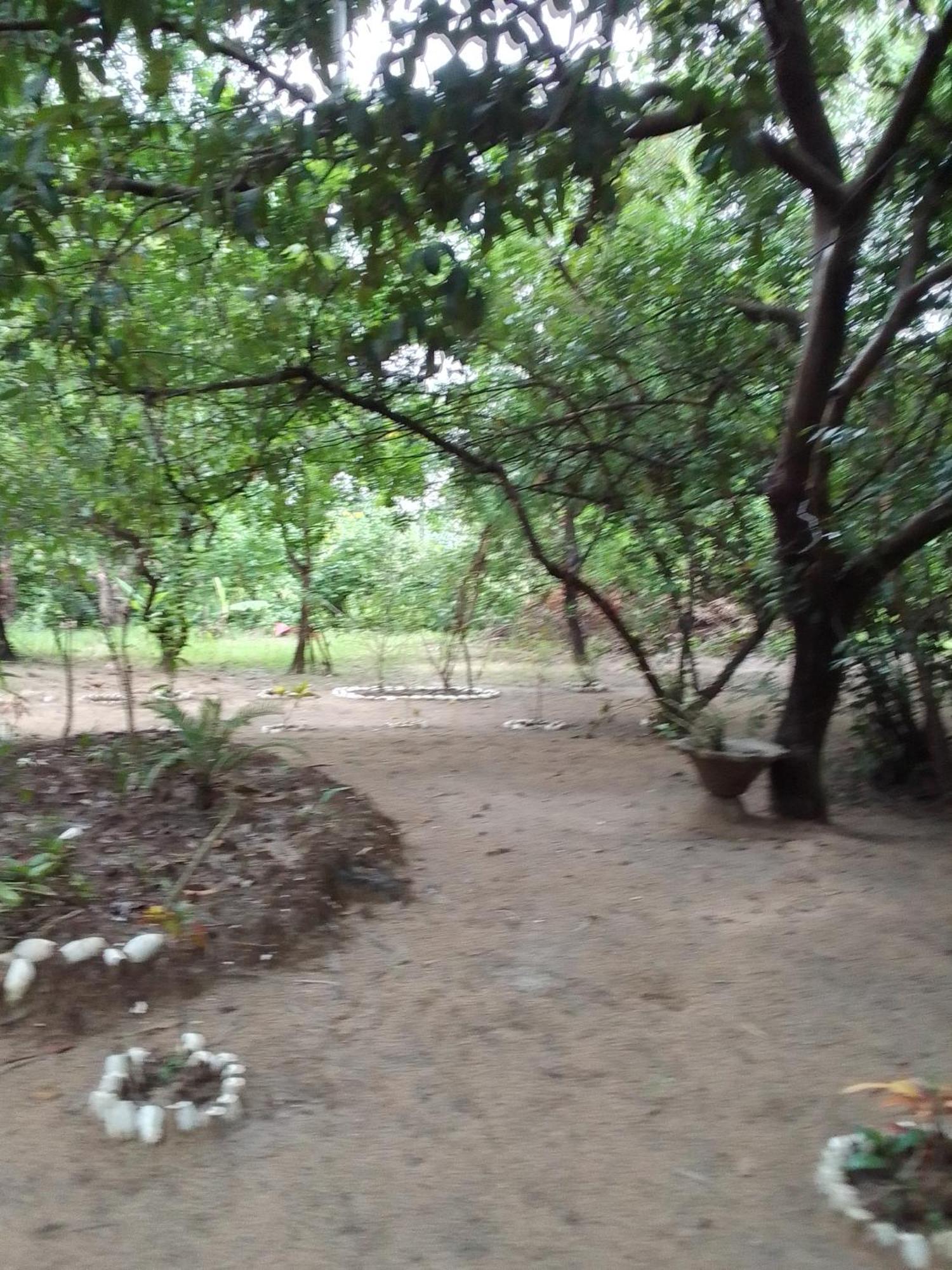 Little Baobab Bed & Breakfast Abeme Bagian luar foto